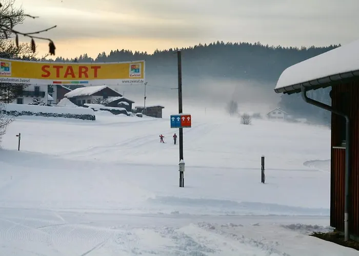 Style Im Bayerischen Wald Pool Sauna Netflix Apartment