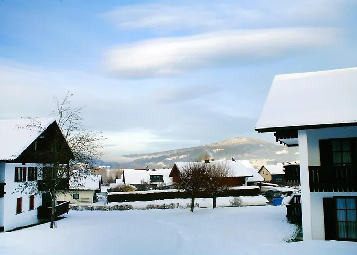 Style Im Bayerischen Wald Pool Sauna Netflix * Zwiesel